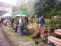 Dessauer Garten- und Pflanzenmarkt